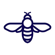 Bee icon representing Manchester